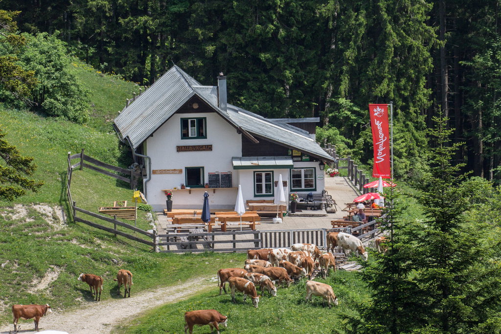 Stallburgalm. Foto: Naturfreunde