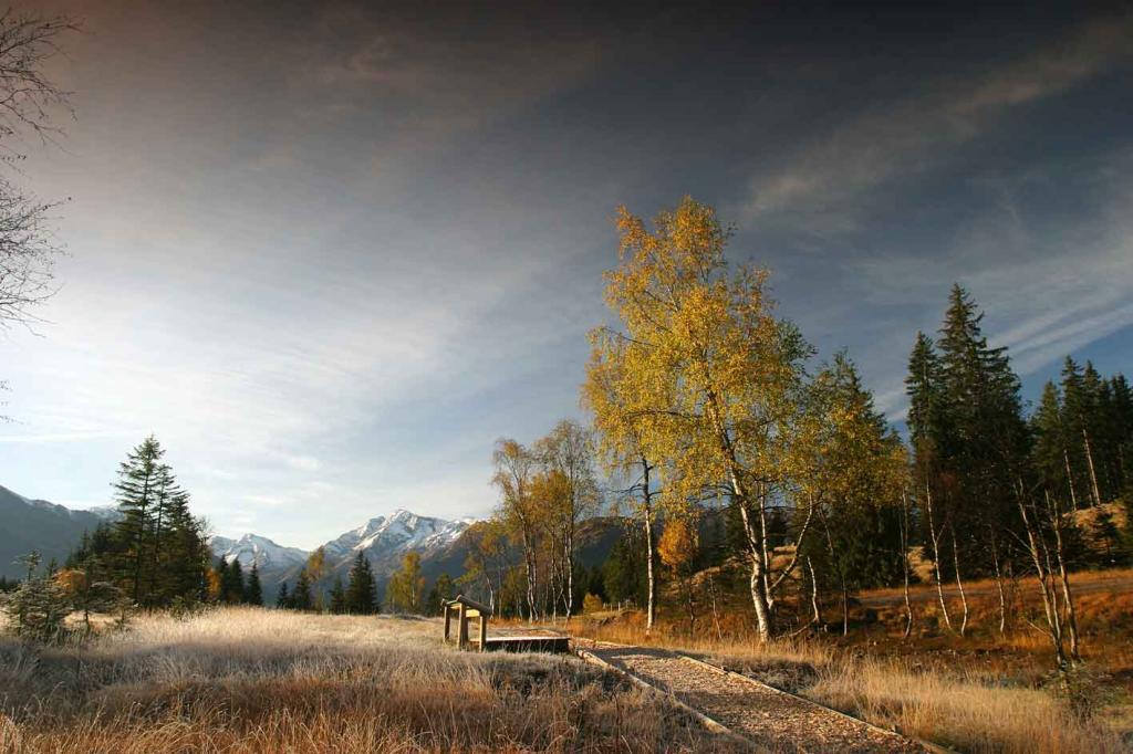 22 Natura Trail „Moorlandschaft am Pass Thurn“
