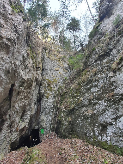 Lange Leiter am Waldegger Steig. Foto Simon Widy