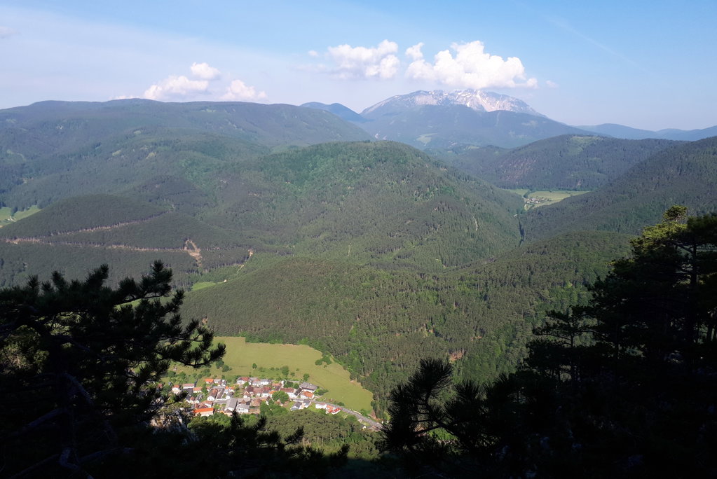 Schneebergblick