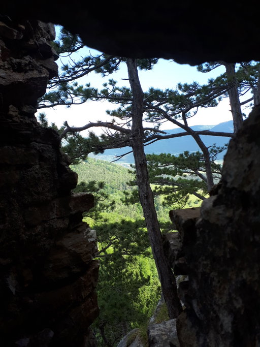 Blick von Schrattenstein 2. Foto: Gerold Petritsch