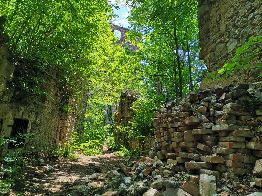 Ruine Merkenstein. Foto Veronika Schöll