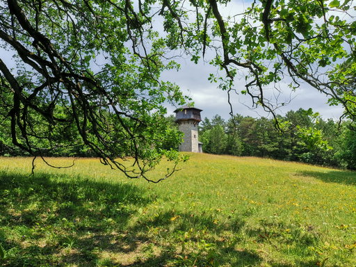 Rapunzel lasse dein Haar herunter, Aussichtsturm Merkenstein. Foto Veronika Schöll