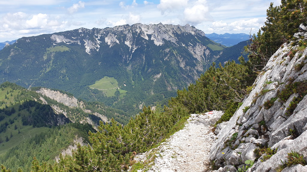 Scheffauer. Foto: Markus Büchler