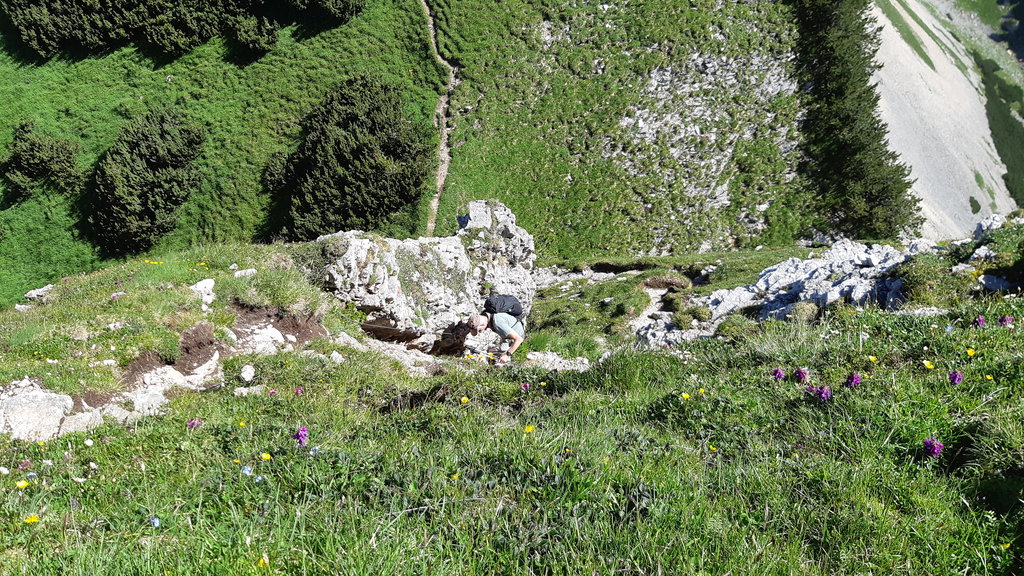 Abstieg vom Dalfazer Roßkopf. Foto: Konrad Gwiggner