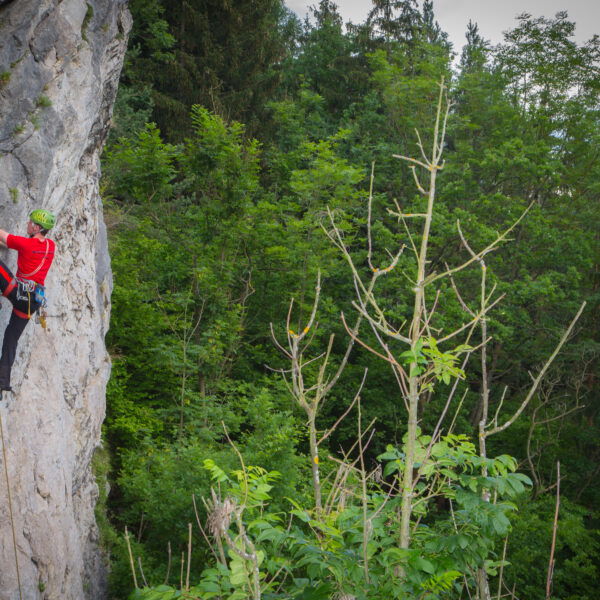 Klettergarten Häuselberg. Foto: Freisinger (tourismus-leoben.at)