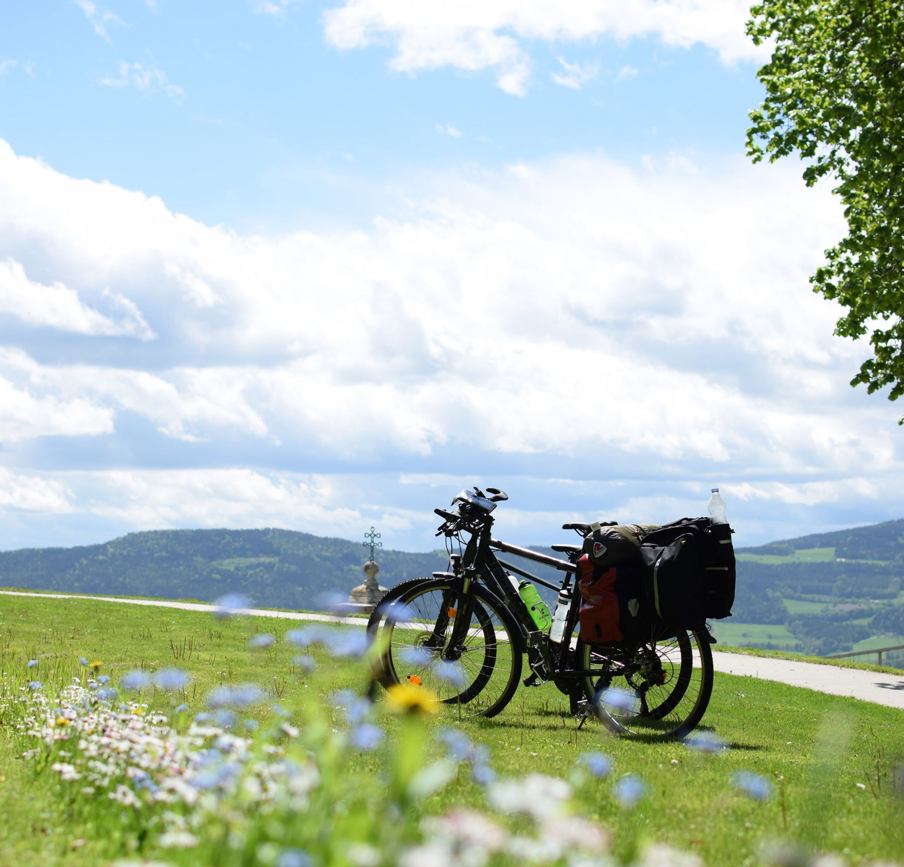 Radrundfahrt Naturpark Pöllauer Tal