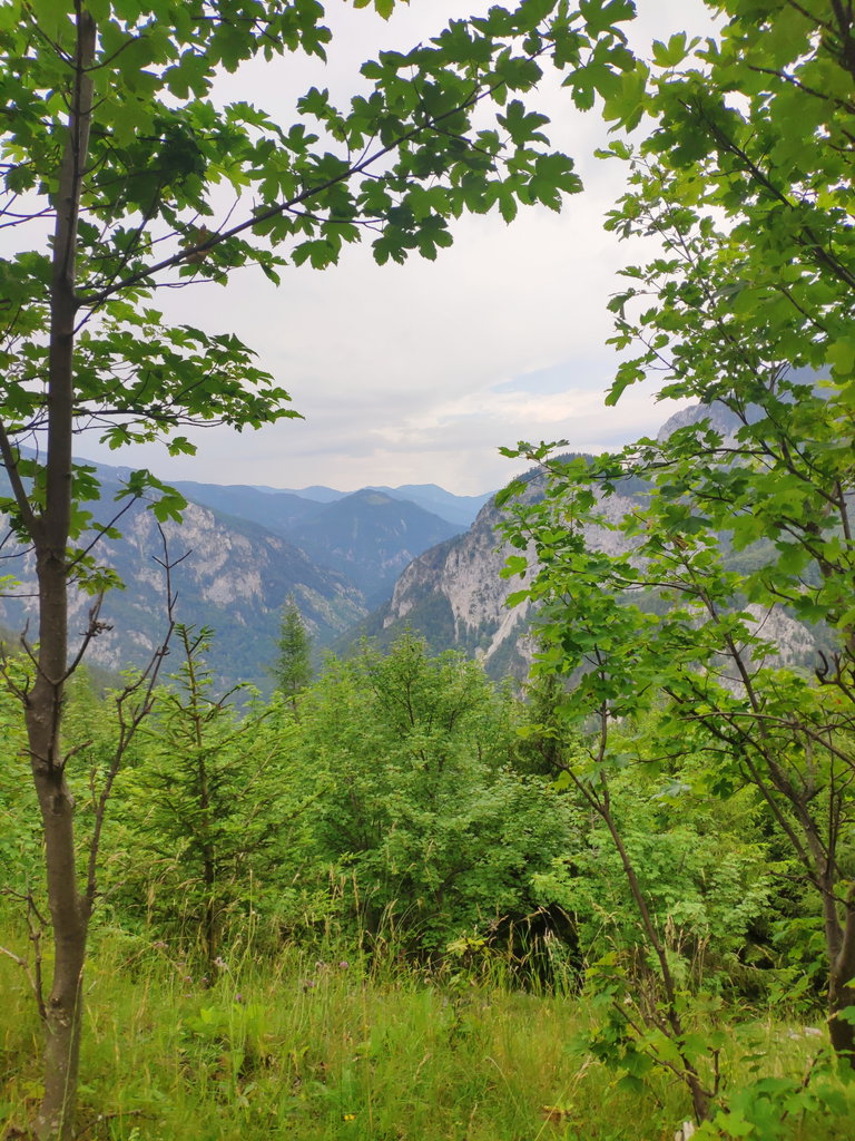 Am Miesleitenweg