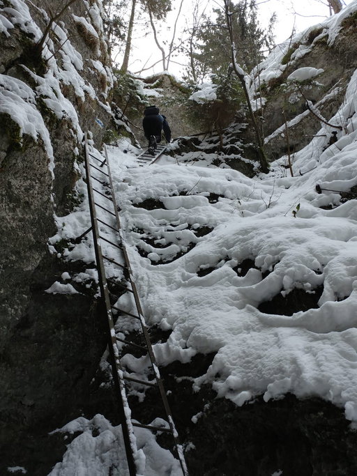 Waldeggersteig, Winterbegehung. Foto Simon Widy