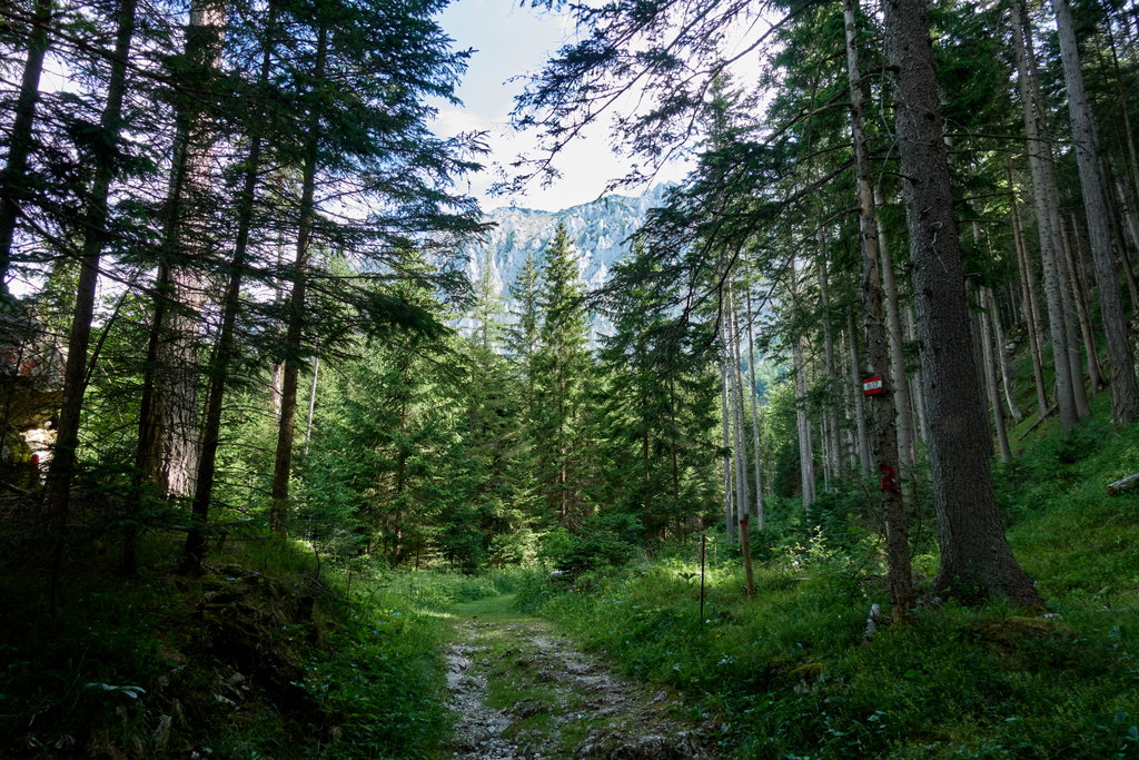 Zustieg Klamm. Foto: Martin Heppner