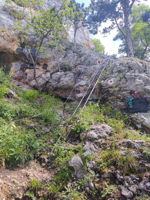 Leiter am Springlessteig. Foto Simon Widy