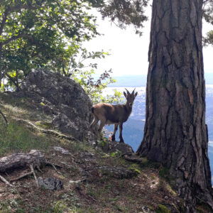 Hohe Wand Süd Nord Überschreitung