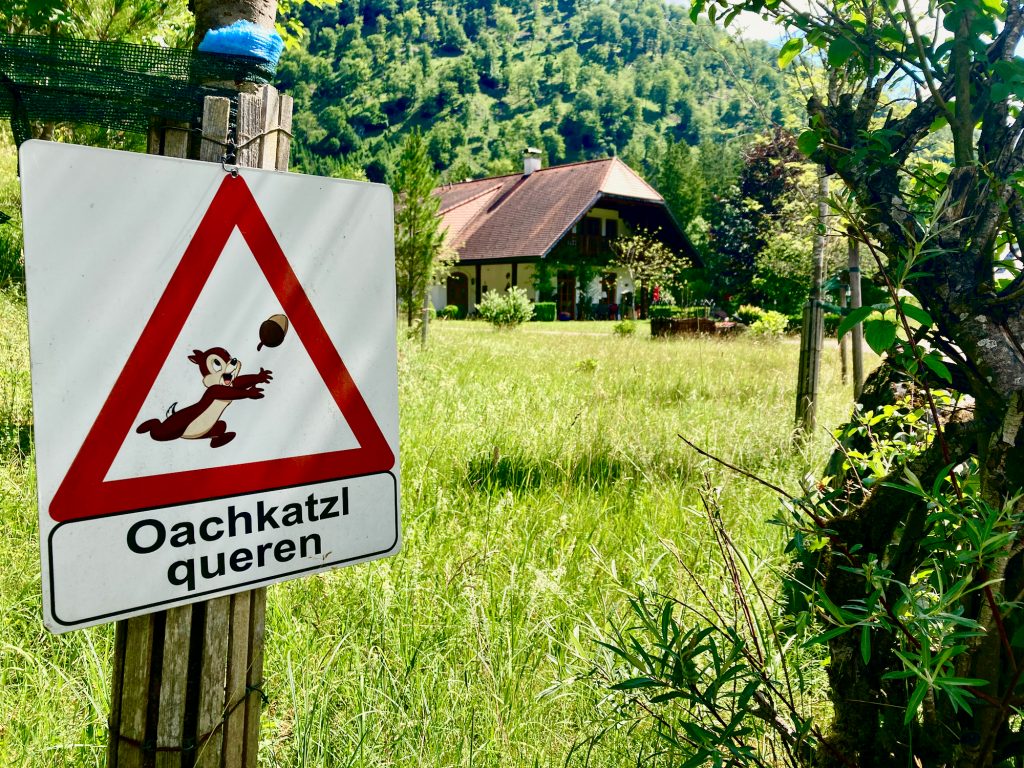 Achtung auf die Oachkatzl! Foto: Stefan Hochhold