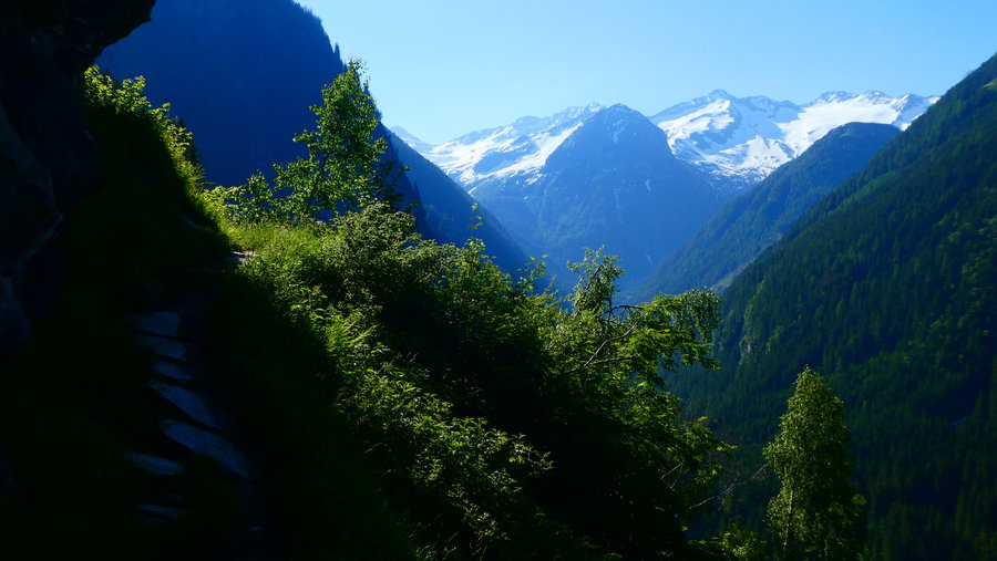 Blick in den Talschuss des Kötschachtales, von links: Keeskogel, Kleinelendscharte, Steinbachkogel, davor Böcksteinkogel, Tischlerkarkopf und Tischerspitze. Foto: Karl Plohovich
