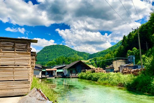 Konrad Lorenz aufgedeckt. Mitte: Idylle. Rechts: Sog. Fotos: Stefan Hochhold