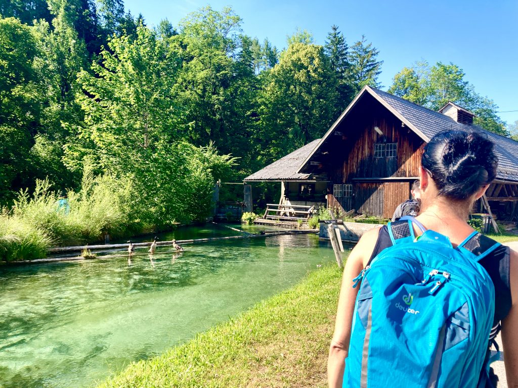 Alle meine Entchen... Foto: Stefan Hochhold