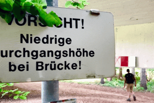 Köpfchen! Foto: Stefan Hochhold