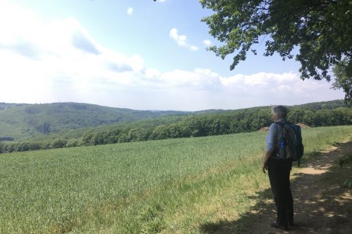 Wald und Wiesen am Weg zur Windischhütte, Fotos: Veronika Schöll