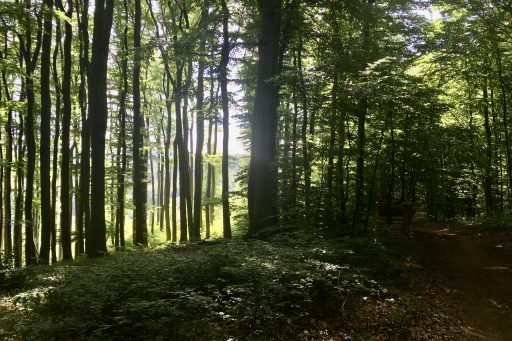 Pilgerwege, Fotos: Veronika Schöll