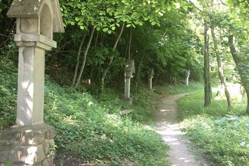 Pilgerwege, Fotos: Veronika Schöll