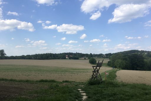 Am Weg zur Burg Greifenstein, Fotos: Veronika Schöll