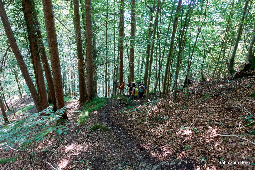 Aufstieg im Wald zur Teufelskirche. Foto: Martin Heppner