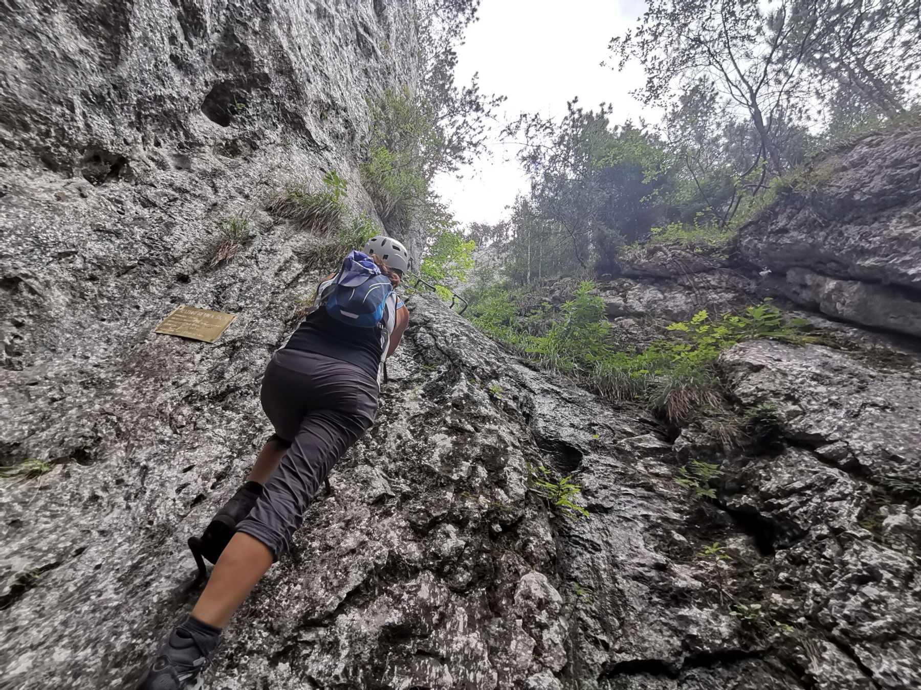 „Coole“ Hohe Wand Tour