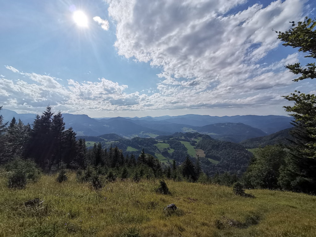 Aussicht beim Waldegger Haus. Foto Veronika Schöll
