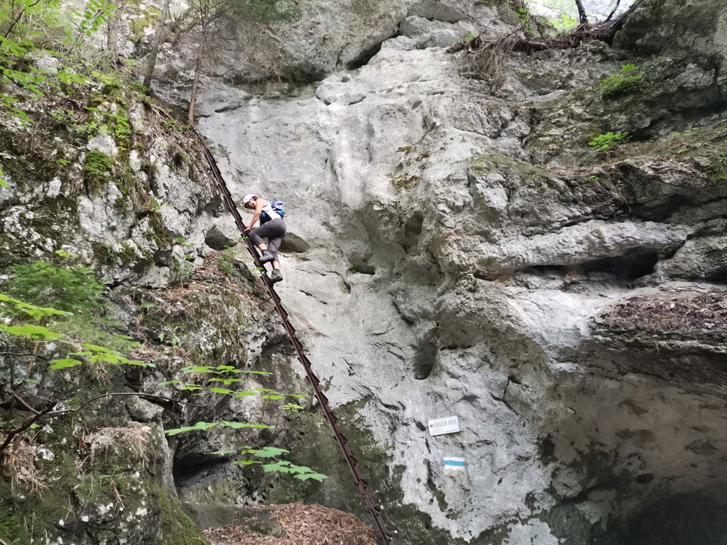 Die letzte Leiter in der Großen Klause. Foto Veronika Schöll