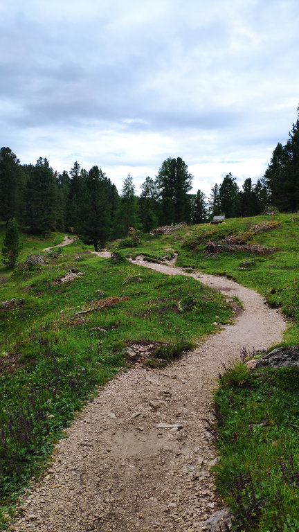 Am Adolf-Munkel-Weg. Fotos Birgit Matzinger