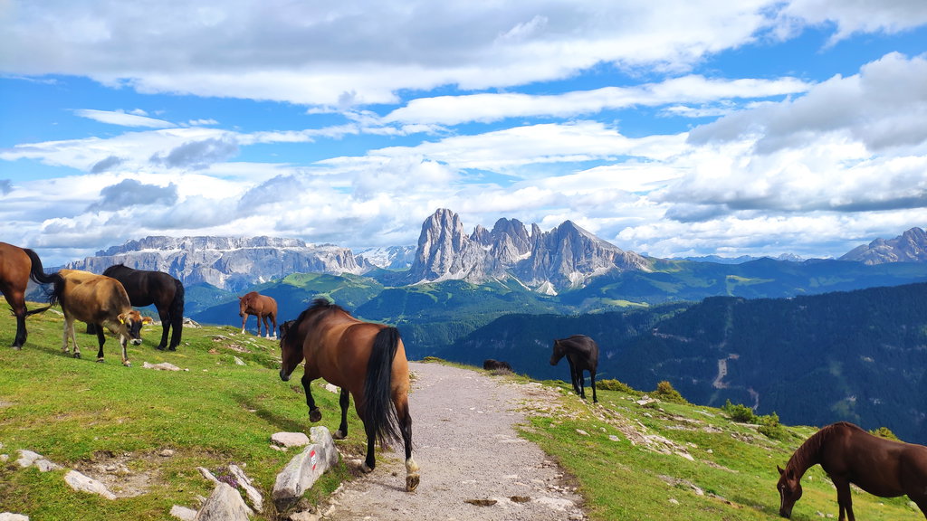 Panorama nahe der Raschötzhütte. Fotos Birgit Matzinger