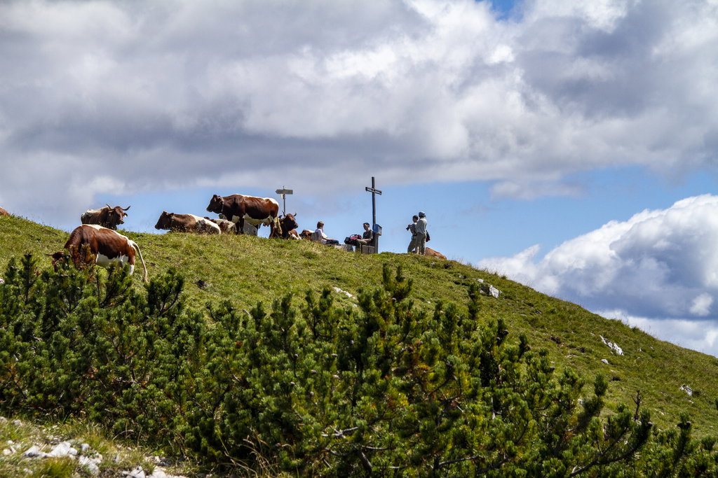 Das Gipfelkreuz am Golz müssen wir uns teilen. Foto Alpine Pearls