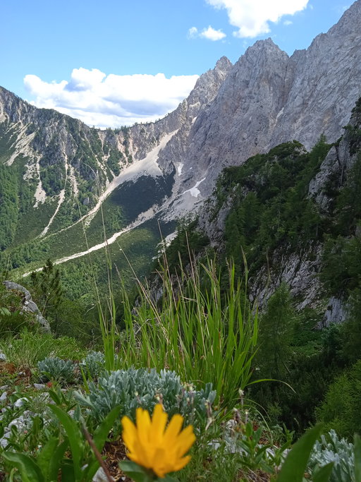 Blumenpracht und Ausblick. Foto: Birgit Frank