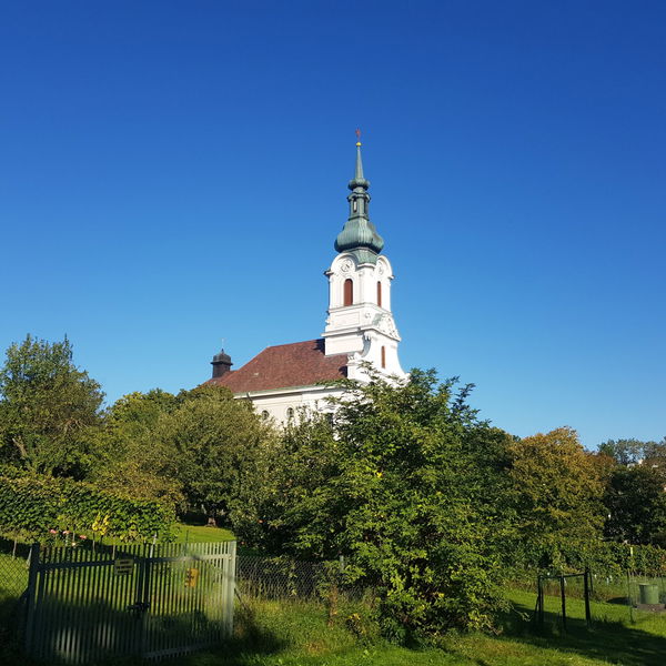 45 Urban Hiking von Oberdöbling nach Neuwaldegg