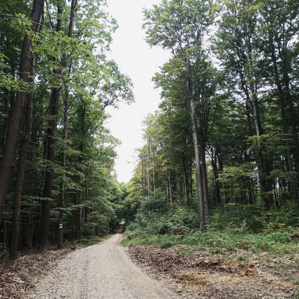 Purkersdorf über Troppberg nach Gablitz. Foto: Clemens Novak