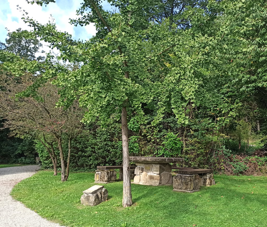 Rastplatz Marienheim. Foto: Clemens Novak