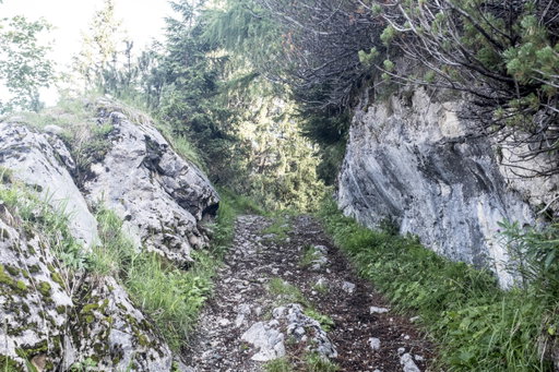 Karrenweg Richtung Langpoltenalm. Foto: Birgit Reiter