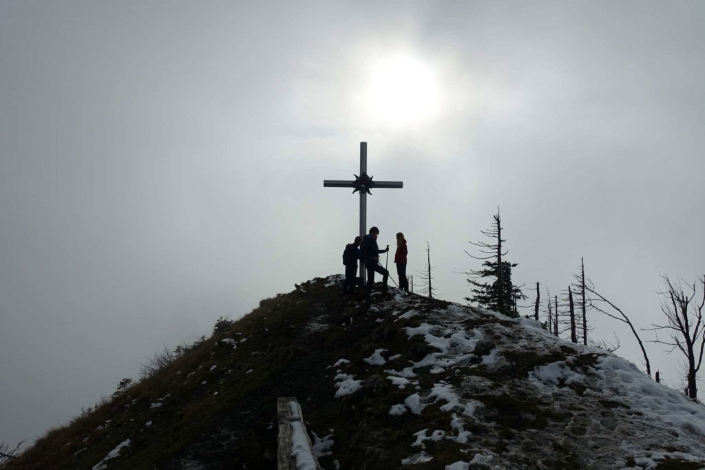 Gipfel Almkogel (1.513m)