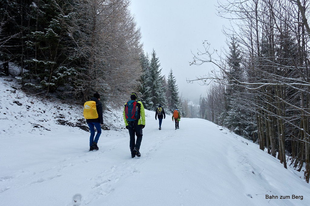 Die Forststraßen sind teilweise schneebedeckt.