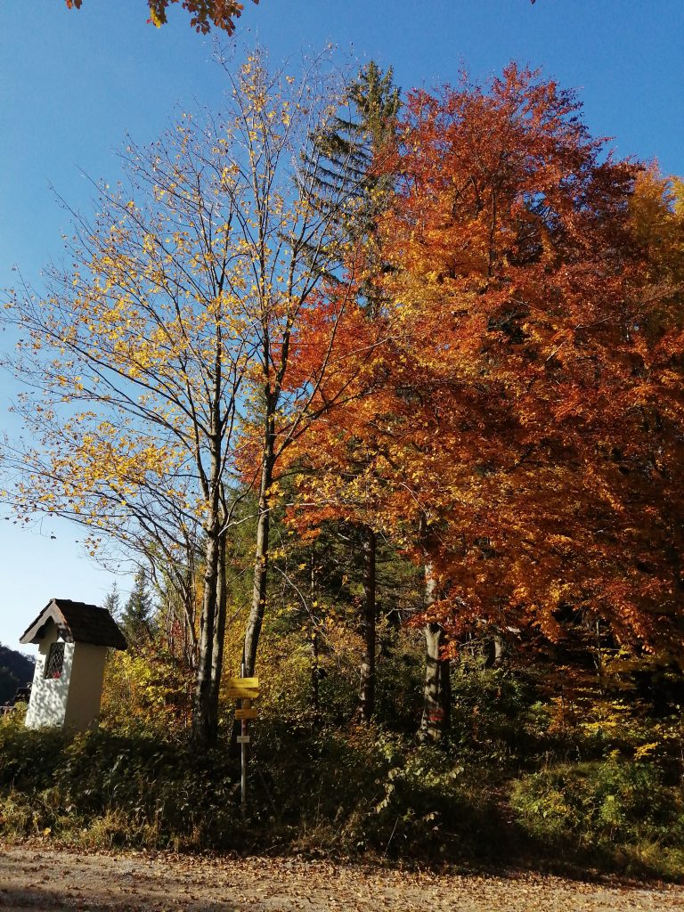 Das Holzbauerkreuz ist ein kleines Materl und kein Kreuz! Foto: Jürgen Birgl
