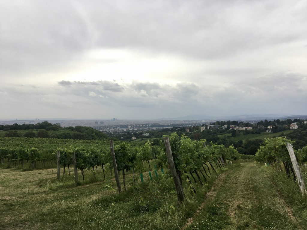 Grau über der Stadt. Foto Veronika Schöll