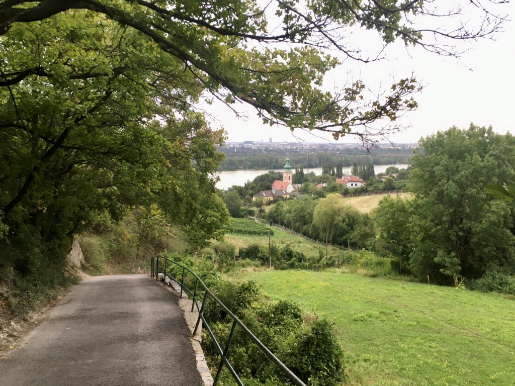 Hinunter ins Kahlenbergerdorf. Foto Veronika Schöll