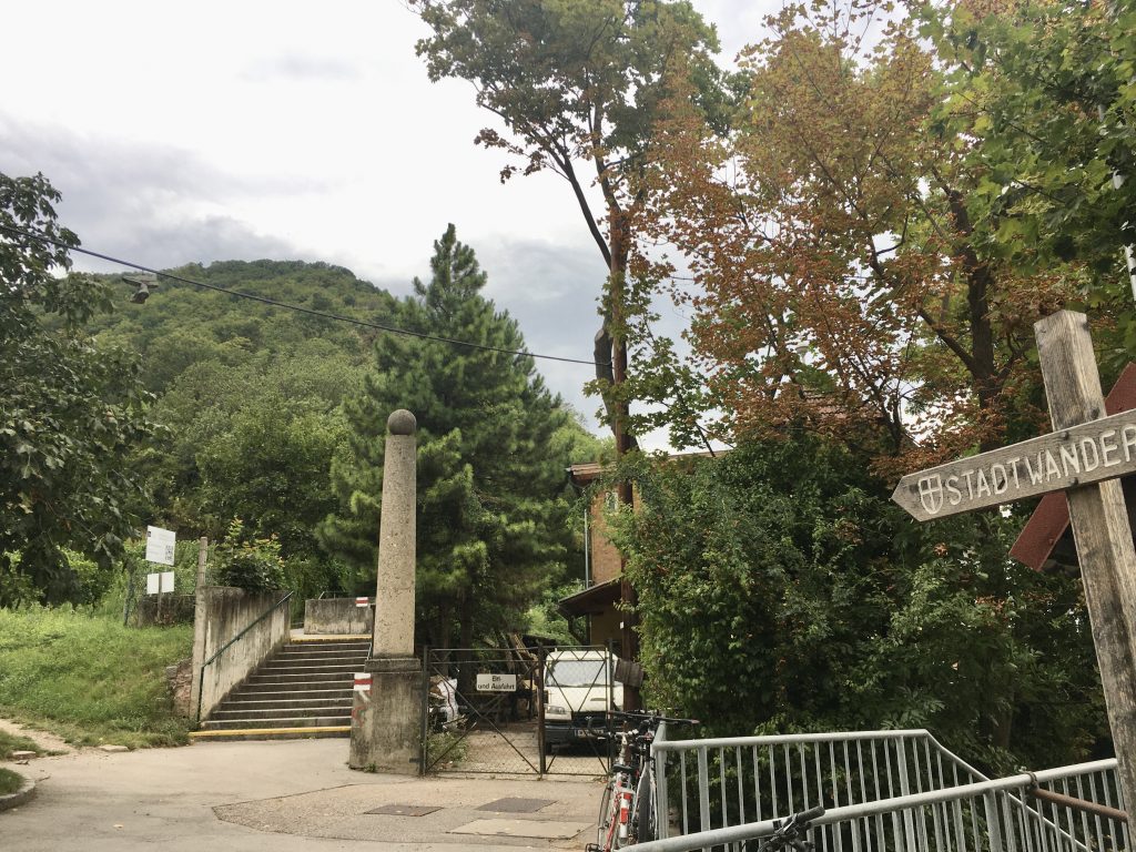 Aufstieg zum Leopoldsberg am Nasenweg. Foto Veronika Schöll
