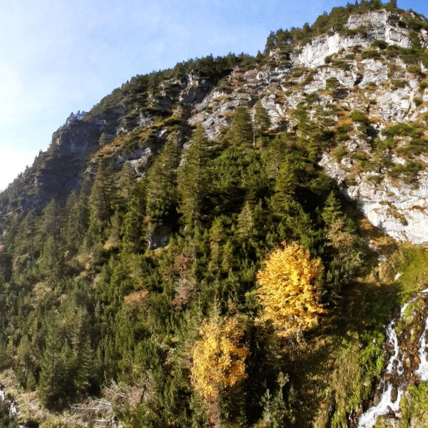 Dalfazer Wasserfall im goldenen Herbst. Foto: Konrad Gwiggner