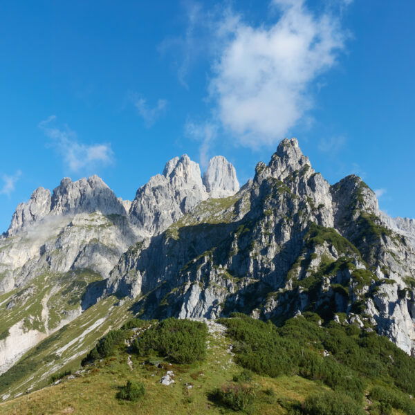 Bischofsmütze, Foto Martin Heppner