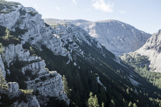 Ausblick zum Schallerkogel. Foto: Birgit Reiter