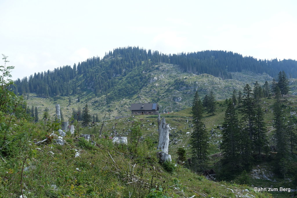 Stürme haben die Dürrensteinalm gerodet.