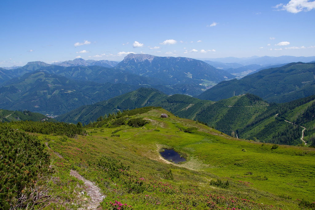 Blick zurück auf den Schildhahnboden mit kleinem See. Im Hintergrund (Bildmitte) ist der Reiting zu sehen. Mit dem Gößeck als höchsten Punkt dieses freistehenden Gebirgsstock das zu den Eisenerzer Alpen zählt. Foto: Franz Haas