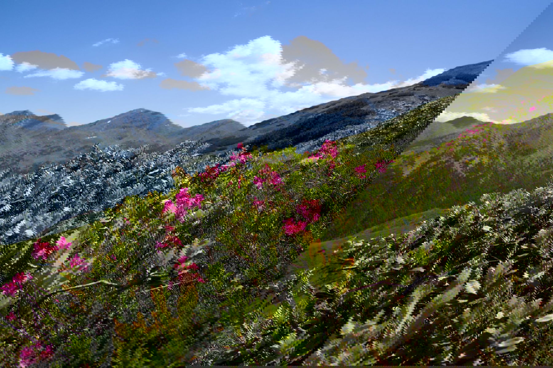 Mutterseelenallein am Feistererhorn