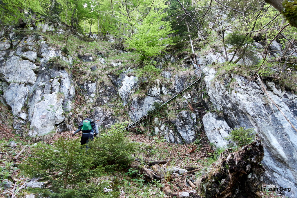 Leiter am Weg von Ebbs herauf. Foto: Martin Heppner